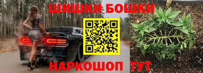 тгк Лесосибирск