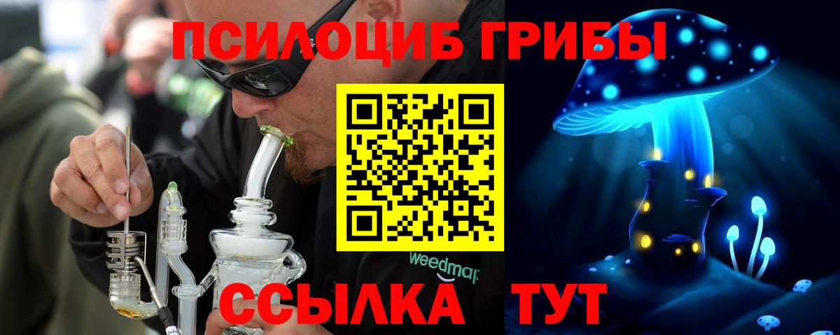 Ефремов  дарнет шоп  Вход с VPN  Галлюциногенные грибы прущие грибы  Псилоцибиновые грибы Psilocybe 